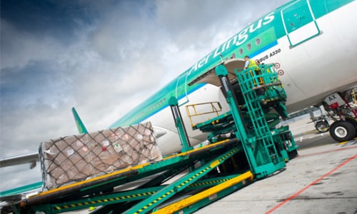 aer lingus air cargo bluebird