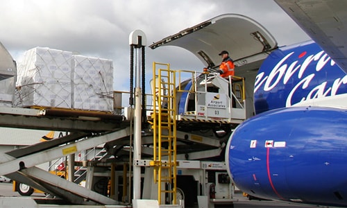 blue bird air cargo