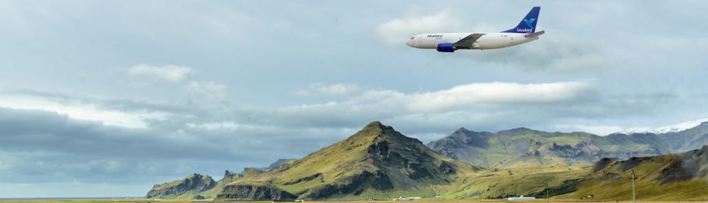 bluebird aircraft fleet