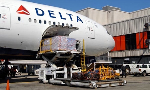 Delta Air Cargo Freight bluebird